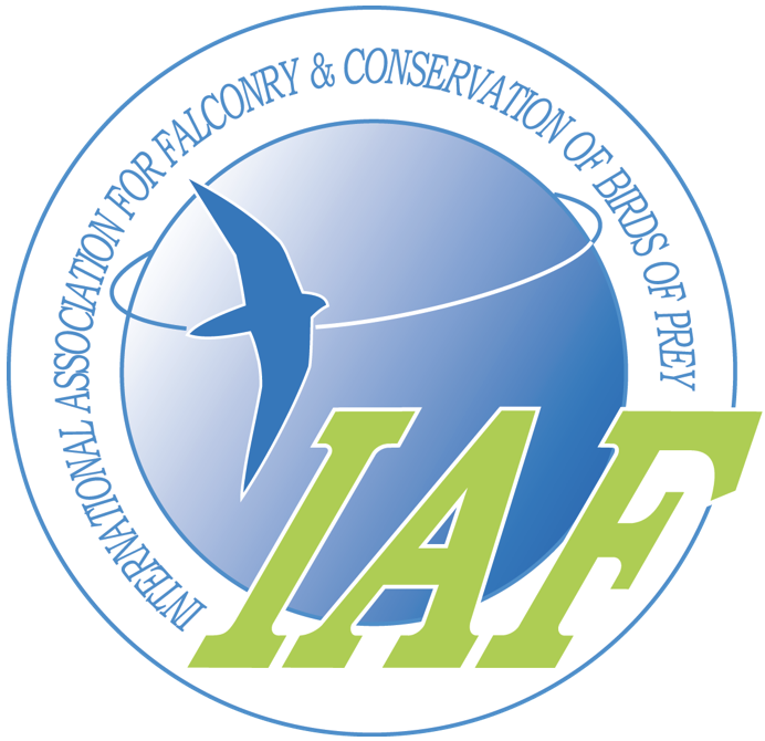 IAF logo