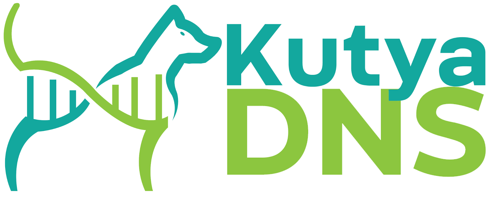 KutyaDNS