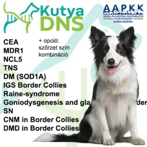 https://www.kutyadns.hu/wp-content/uploads/2024/05/termek_ajanlokep_border_aapkk-300x300.jpg