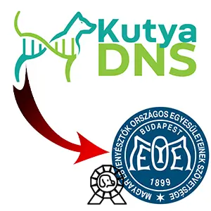 https://www.kutyadns.hu/wp-content/uploads/2024/11/ertektar.jpg