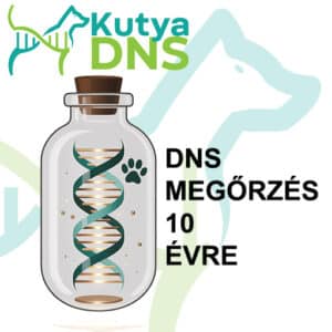 https://www.kutyadns.hu/wp-content/uploads/2025/02/termek_ajanlokep_DNS_bank-300x300.jpg