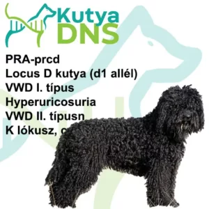 https://www.kutyadns.hu/wp-content/uploads/2025/02/termek_ajanlokep_barbet-300x300.jpg