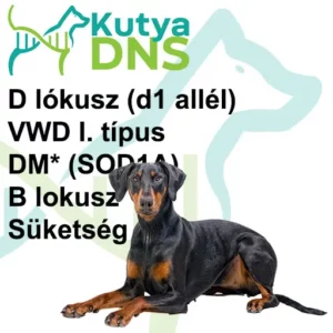 https://www.kutyadns.hu/wp-content/uploads/2025/02/termek_ajanlokep_dobermann1-300x300.jpg