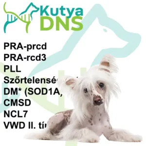 https://www.kutyadns.hu/wp-content/uploads/2025/02/termek_ajanlokep_kinaimeztelen1-300x300.jpg