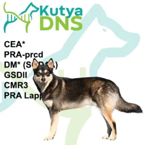 https://www.kutyadns.hu/wp-content/uploads/2025/02/termek_ajanlokep_lapppasztor-300x300.jpg