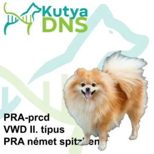 https://www.kutyadns.hu/wp-content/uploads/2025/02/termek_ajanlokep_nemetspicc-300x300.jpg