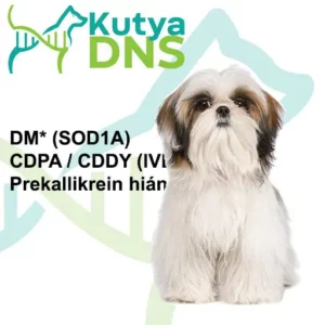 https://www.kutyadns.hu/wp-content/uploads/2025/02/termek_ajanlokep_sicu-300x300.jpg
