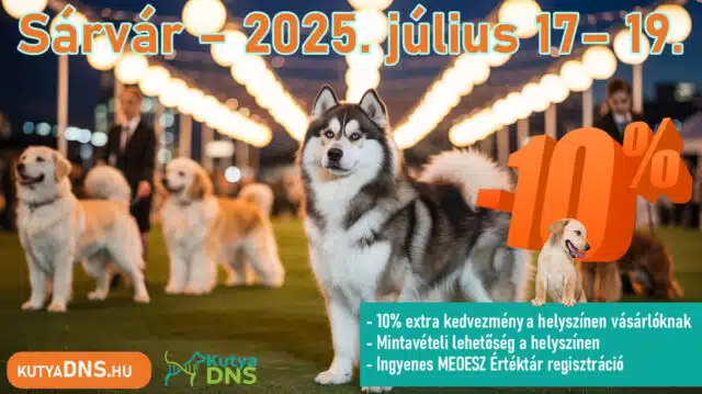 https://www.kutyadns.hu/wp-content/uploads/2025/07/sarvar2025-640x359.jpg