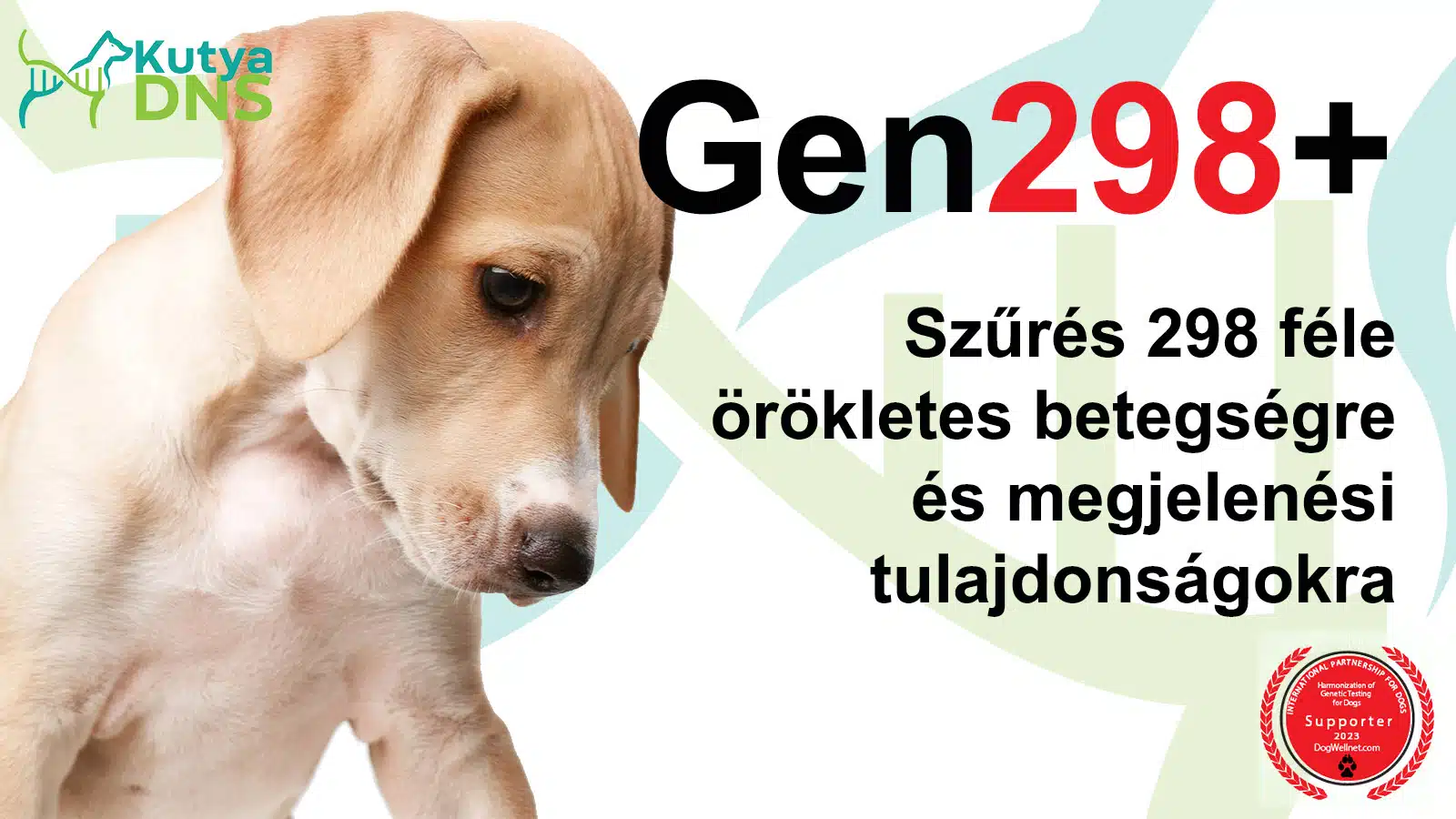 Gen298+