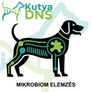 https://www.kutyadns.hu/wp-content/uploads/2025/09/termek_ajanlokep_mikrobiom-300x300.jpg