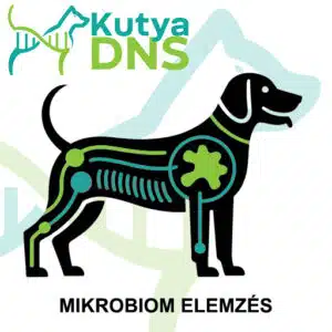https://www.kutyadns.hu/wp-content/uploads/2025/09/termek_ajanlokep_mikrobiom-300x300.jpg